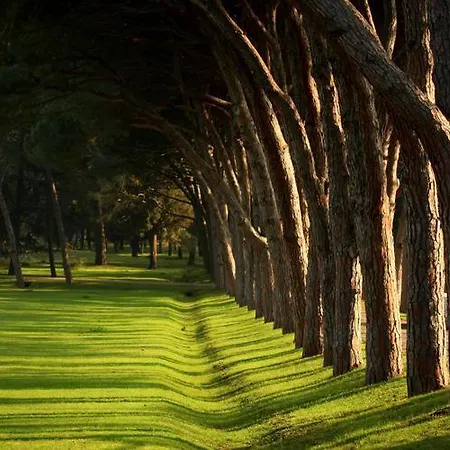 Stunning View With Pool