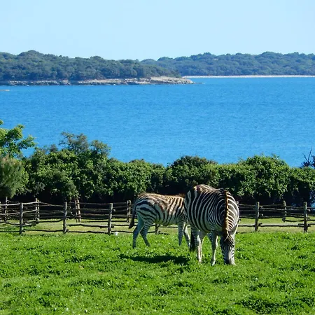 Stunning View With Pool Apartment Valbandon