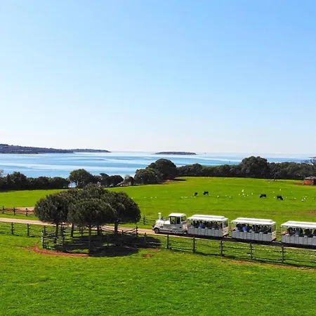 Appartement Stunning View With Pool Valbandon