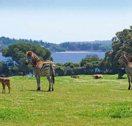 Stunning View With Pool