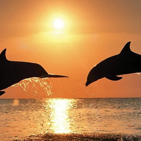 Stunning View With Pool Apartment *